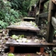 Walking up wet leaf covered wooden stairs